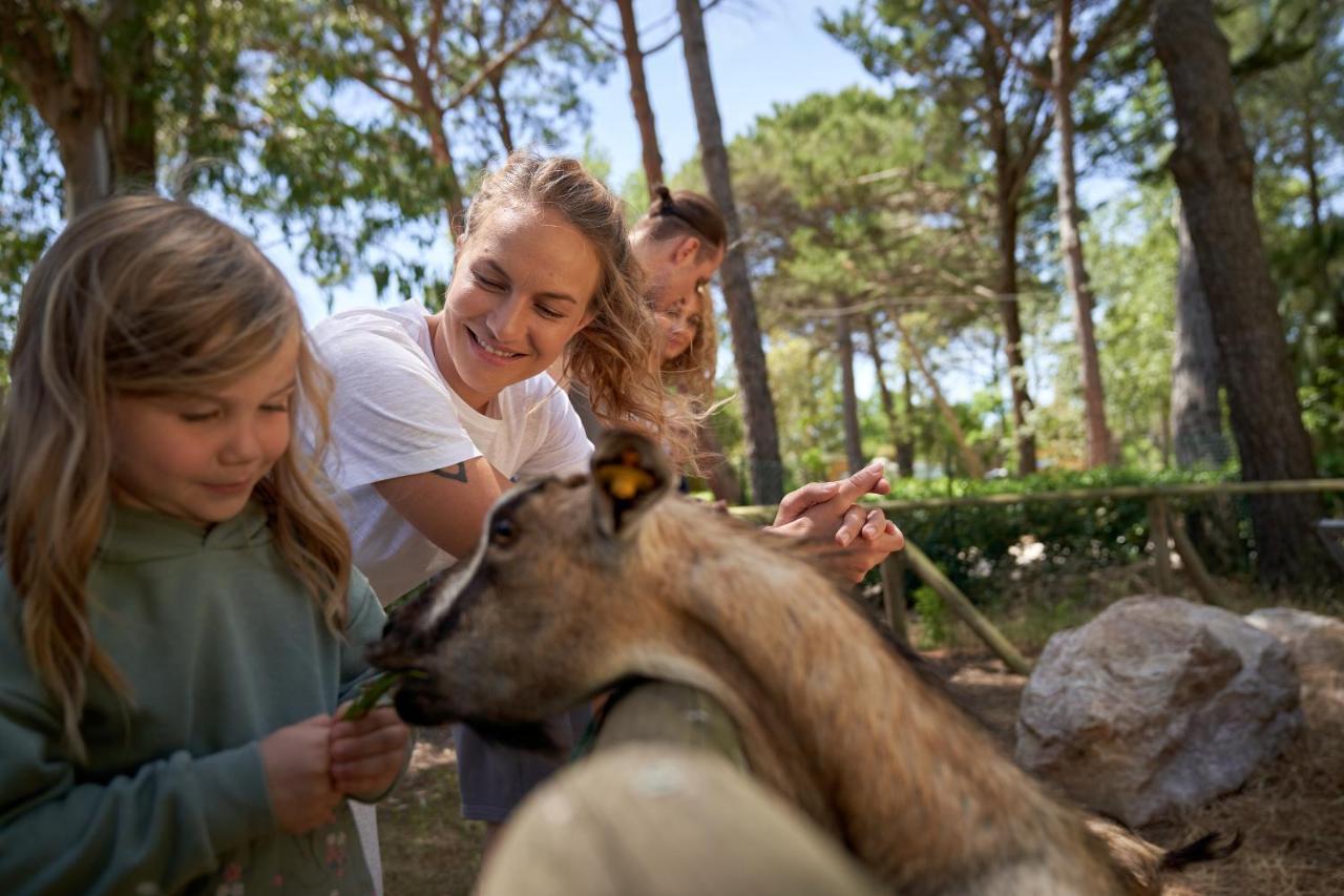 Camping Campo Dei Fiori 베이다 외부 사진